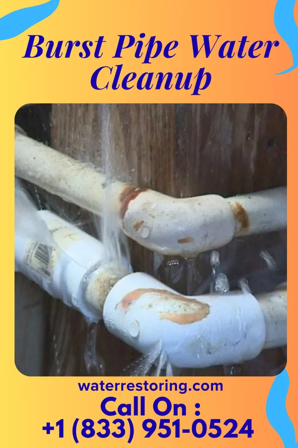 Burst Pipe Water Cleanup in East Lansing, MI