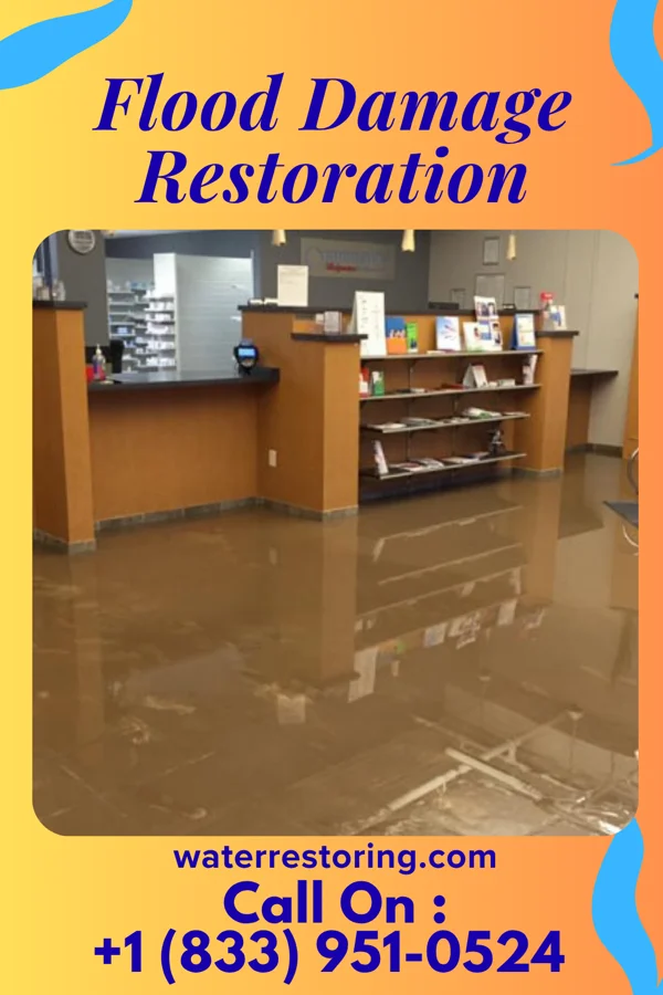 Flood Damage Restoration in East Lansing, MI