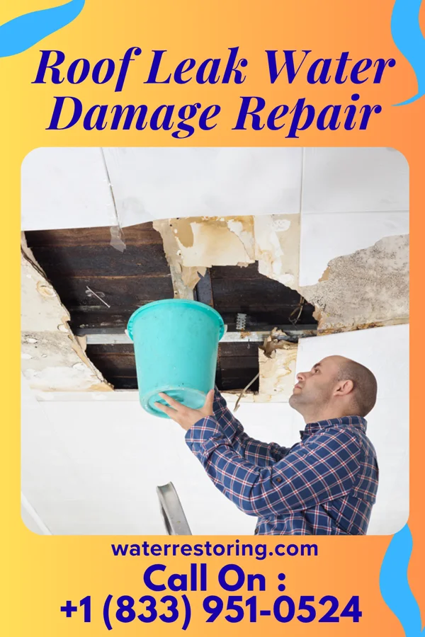Roof Leak Water Damage Repair in East Lansing, MI