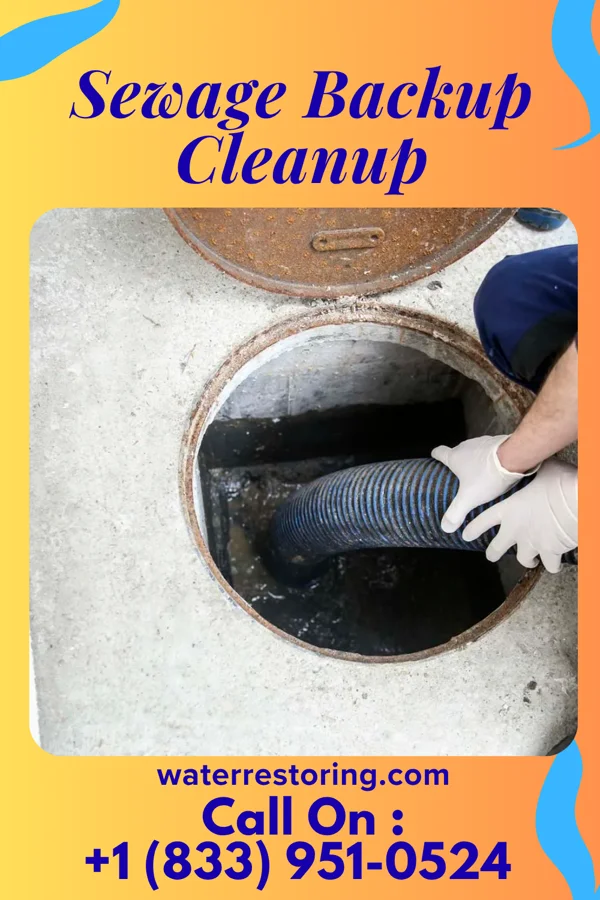 Sewage Backup Cleanup in East Lansing, MI
