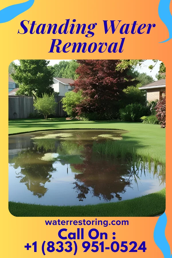 Standing Water Removal in East Lansing, MI